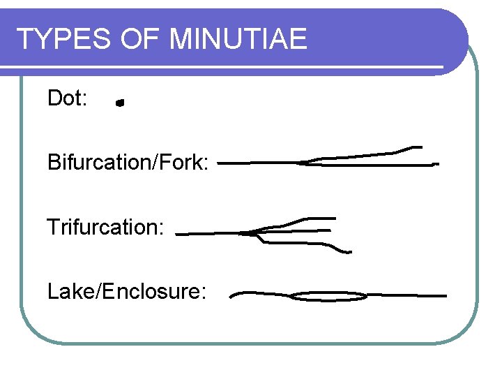 TYPES OF MINUTIAE Dot: Bifurcation/Fork: Trifurcation: Lake/Enclosure: 