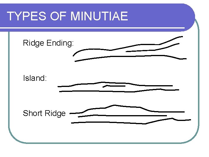 TYPES OF MINUTIAE Ridge Ending: Island: Short Ridge 