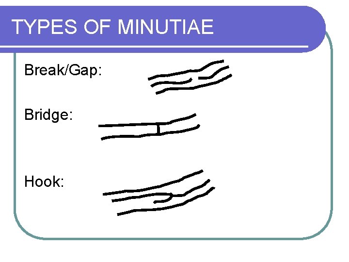 TYPES OF MINUTIAE Break/Gap: Bridge: Hook: 