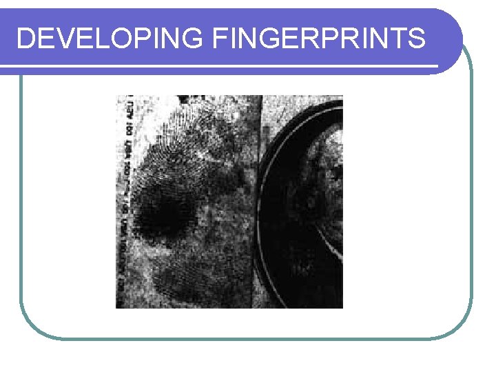 DEVELOPING FINGERPRINTS 