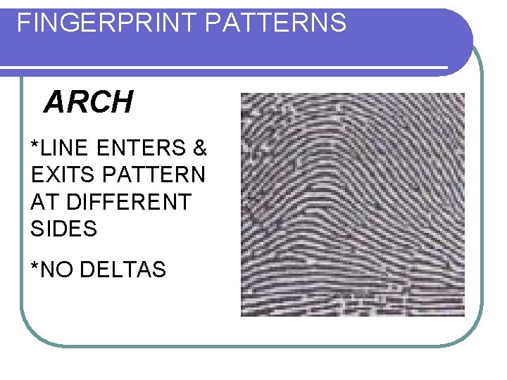 FINGERPRINT PATTERNS ARCH *LINE ENTERS & EXITS PATTERN AT DIFFERENT SIDES *NO DELTAS 