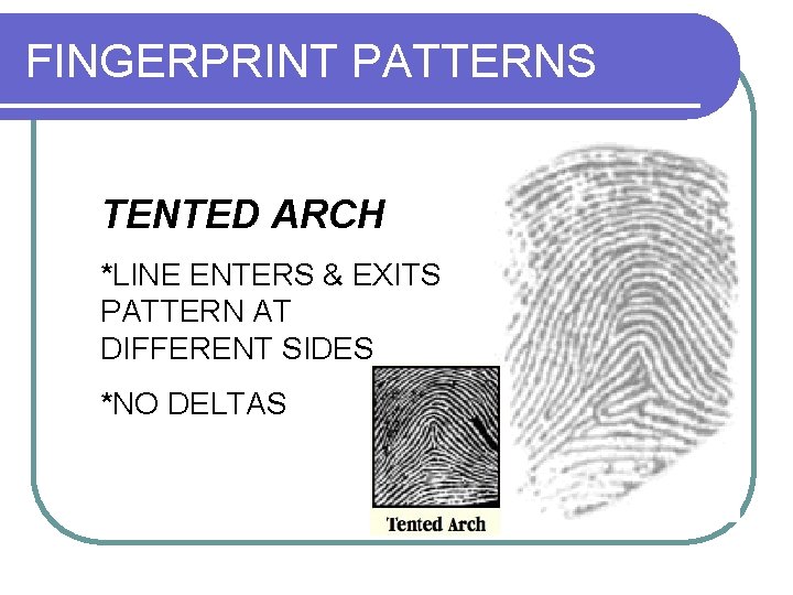 FINGERPRINT PATTERNS TENTED ARCH *LINE ENTERS & EXITS PATTERN AT DIFFERENT SIDES *NO DELTAS