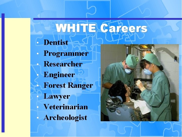 WHITE Careers • • Dentist Programmer Researcher Engineer Forest Ranger Lawyer Veterinarian Archeologist 