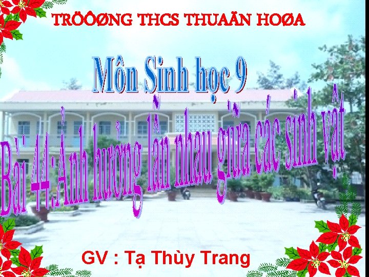 TRÖÔØNG THCS THUAÄN HOØA GV : Tạ Thùy Trang 