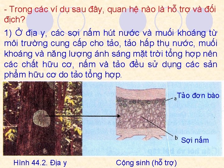 - Trong các ví dụ sau đây, quan hệ nào là hỗ trợ và