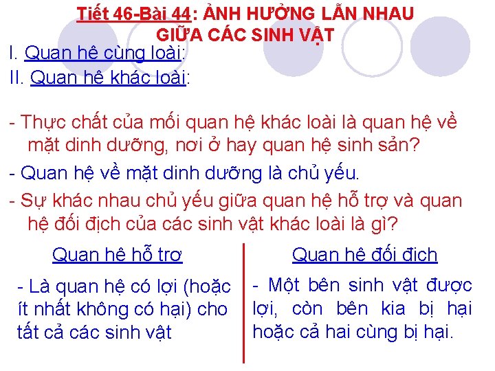 Tiết 46 -Bài 44: ẢNH HƯỞNG LẪN NHAU GIỮA CÁC SINH VẬT I. Quan