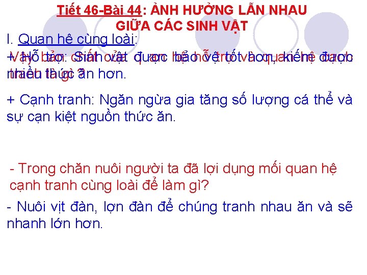 Tiết 46 -Bài 44: ẢNH HƯỞNG LẪN NHAU GIỮA CÁC SINH VẬT I. Quan