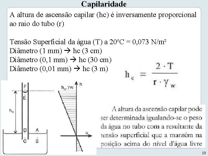 Capilaridade A altura de ascensão capilar (hc) é inversamente proporcional ao raio do tubo