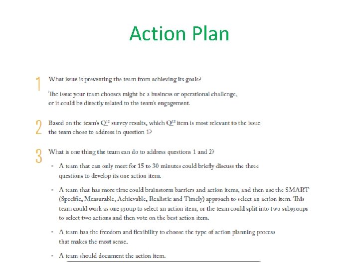 Action Plan 