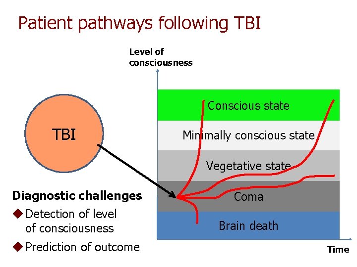Patient pathways following TBI Level of consciousness Conscious state TBI Minimally conscious state Vegetative Patient pathways following TBI Level of consciousness Conscious state TBI Minimally conscious state Vegetative