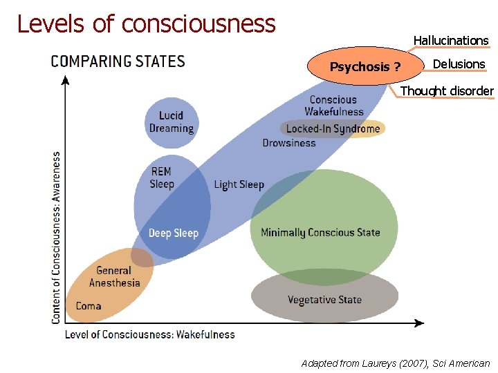 Levels of consciousness Hallucinations Psychosis ? Delusions Thought disorder Adapted from Laureys (2007), Sci Levels of consciousness Hallucinations Psychosis ? Delusions Thought disorder Adapted from Laureys (2007), Sci