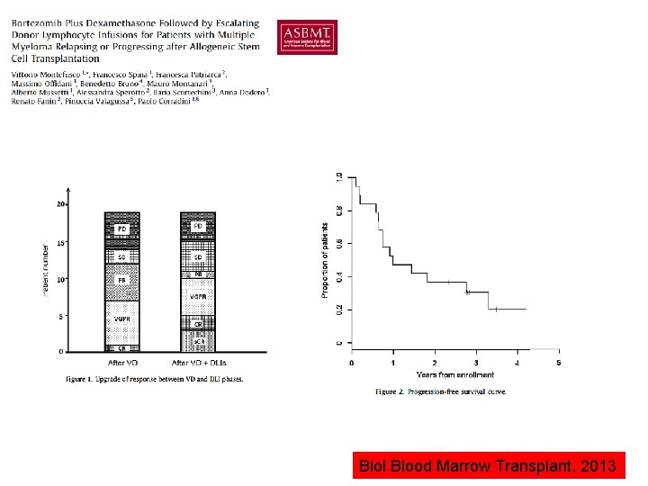 Biol Blood Marrow Transplant, 2013 