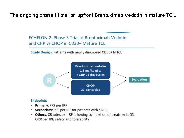 The ongoing phase III trial on upfront Brentuximab Vedotin in mature TCL 