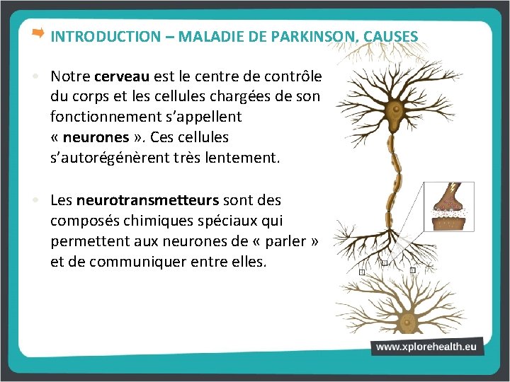 INTRODUCTION – MALADIE DE PARKINSON, CAUSES • Notre cerveau est le centre de contrôle