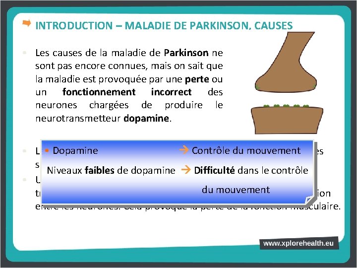 INTRODUCTION – MALADIE DE PARKINSON, CAUSES • Les causes de la maladie de Parkinson