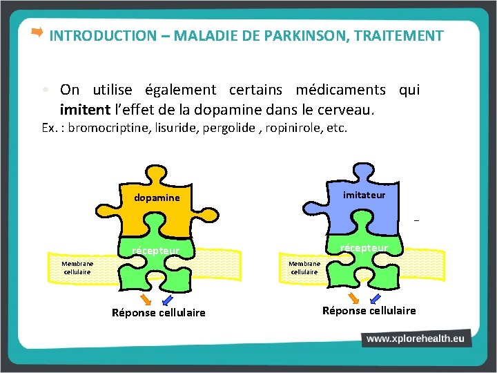 INTRODUCTION – MALADIE DE PARKINSON, TRAITEMENT • On utilise également certains médicaments qui imitent