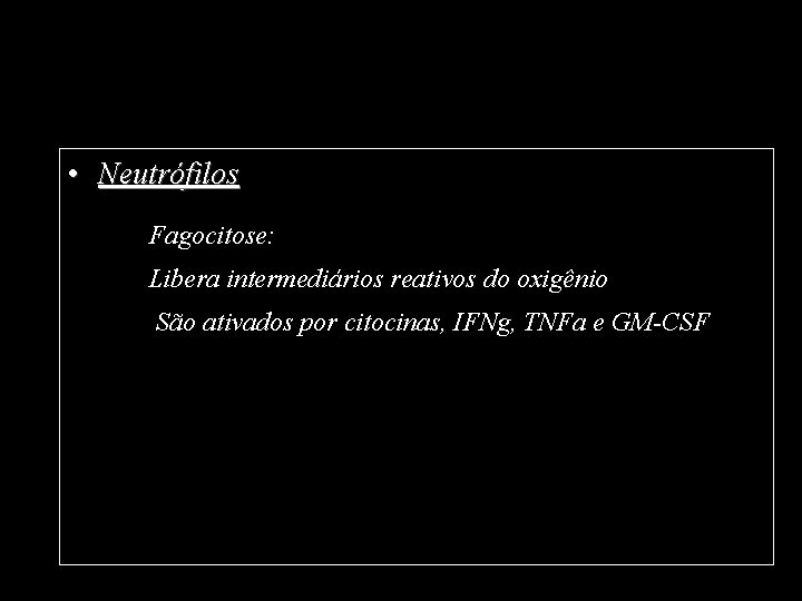  • Neutrófilos Fagocitose: Libera intermediários reativos do oxigênio São ativados por citocinas, IFNg,