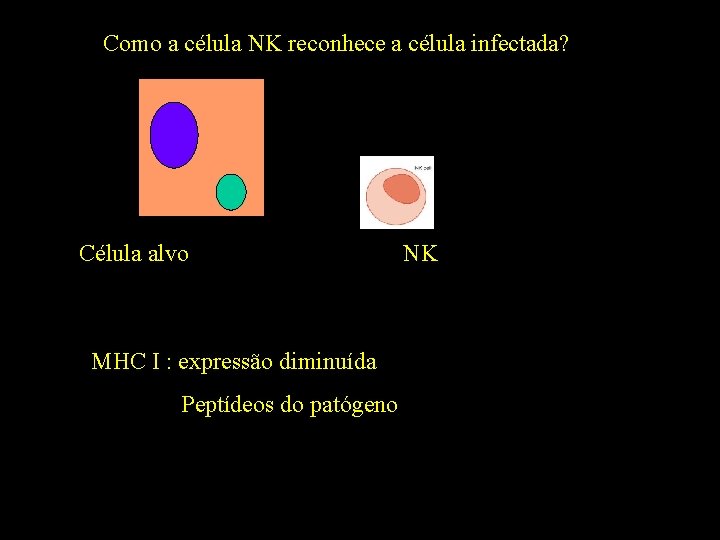 Como a célula NK reconhece a célula infectada? Célula alvo MHC I : expressão