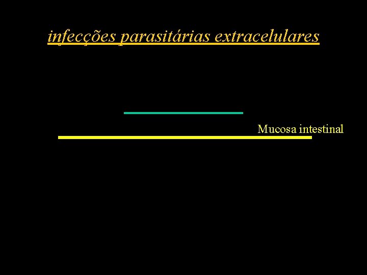 infecções parasitárias extracelulares Mucosa intestinal 
