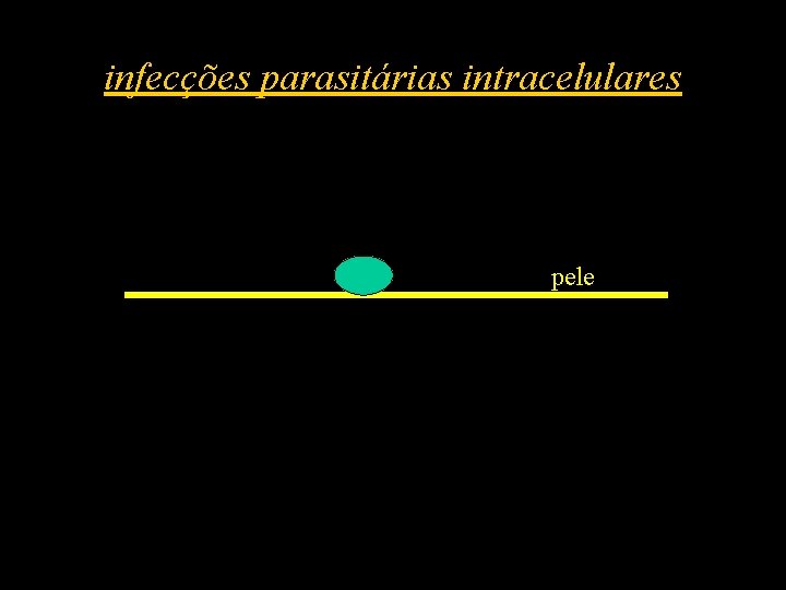 infecções parasitárias intracelulares pele 