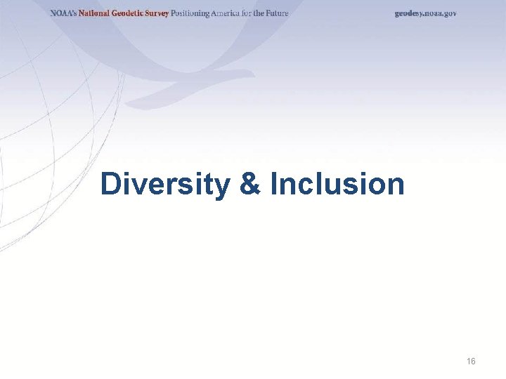 Diversity & Inclusion 16 