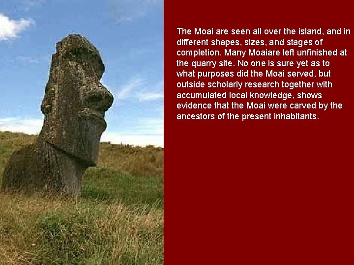 The Moai are seen all over the island, and in different shapes, sizes, and