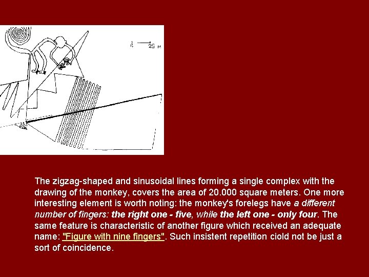 The zigzag-shaped and sinusoidal lines forming a single complex with the drawing of the