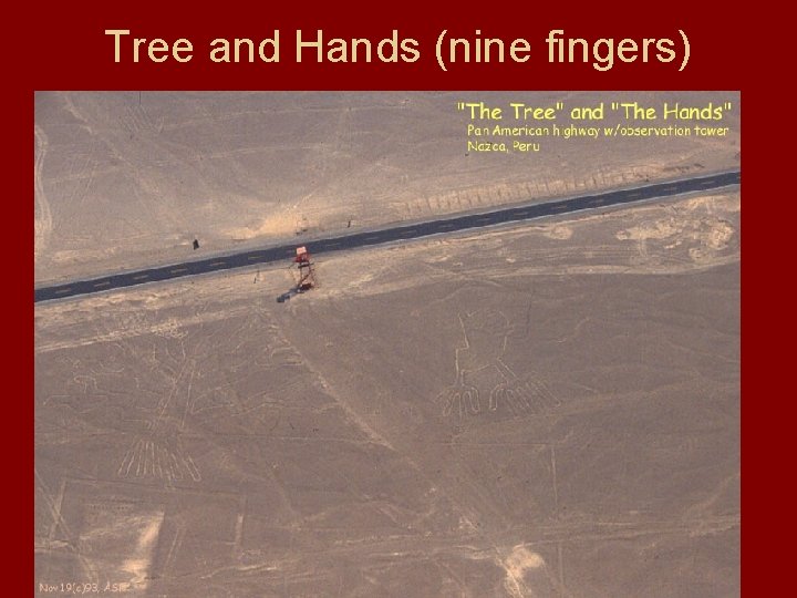 Tree and Hands (nine fingers) 