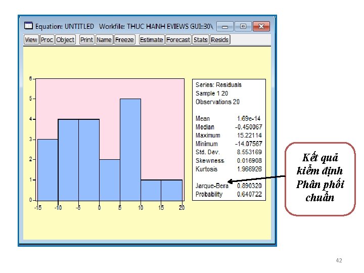 Kết quả kiểm định Phân phối chuẩn 42 