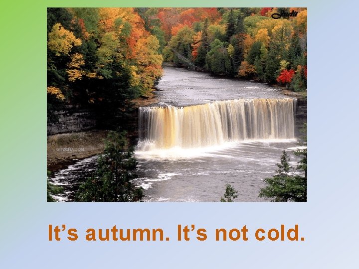 It’s autumn. It’s not cold. 