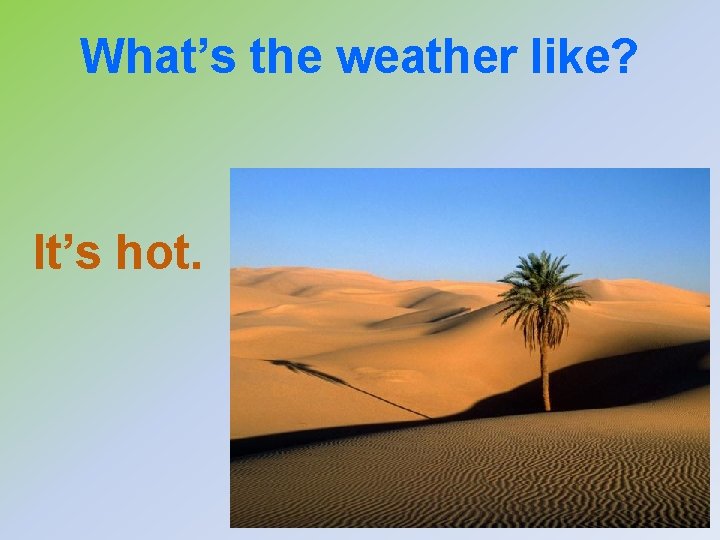 What’s the weather like? It’s hot. 