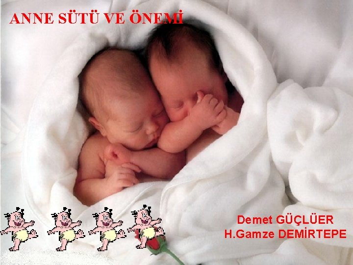 ANNE SÜTÜ VE ÖNEMİ Demet GÜÇLÜER H. Gamze DEMİRTEPE 