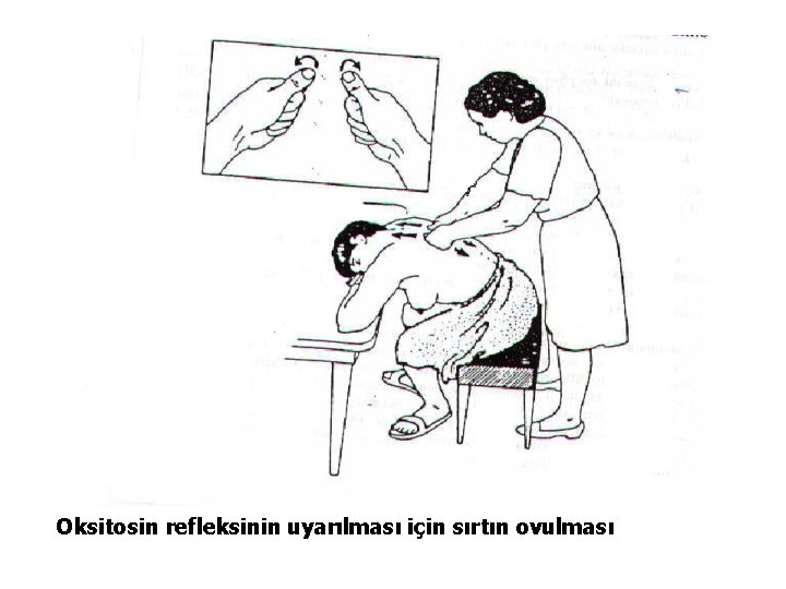 Oksitosin refleksinin uyarılması için sırtın ovulması 