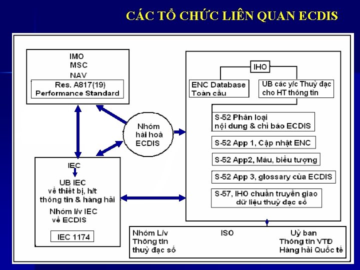 CÁC TỔ CHỨC LIÊN QUAN ECDIS 