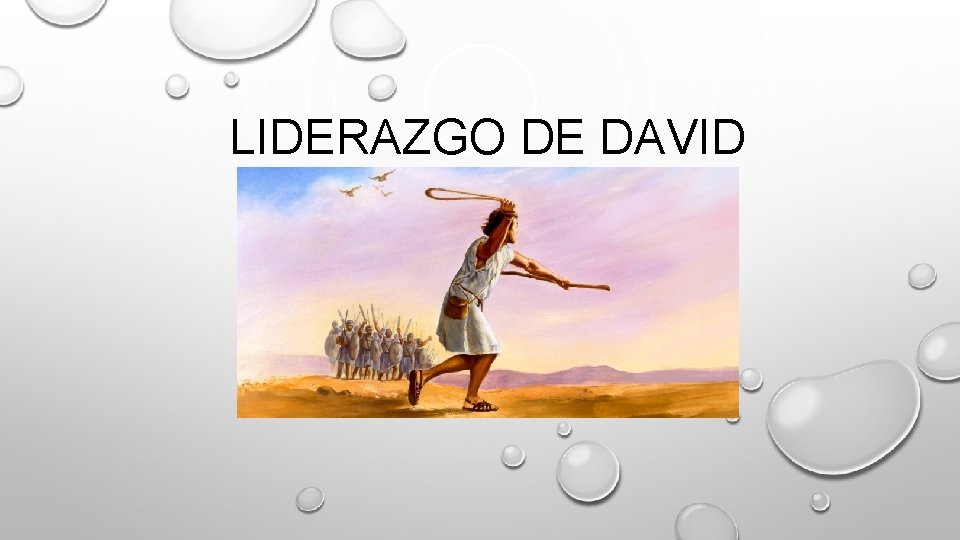 LIDERAZGO DE DAVID 