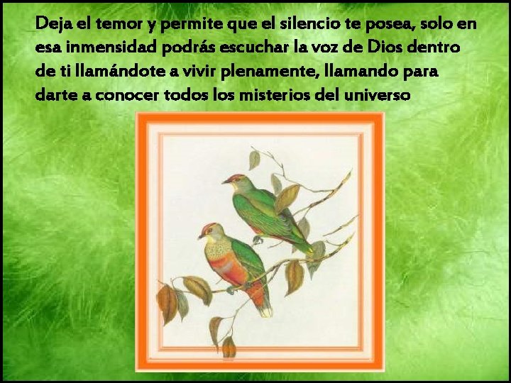 Deja el temor y permite que el silencio te posea, solo en esa inmensidad