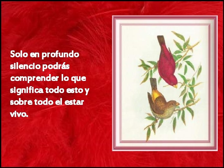 Solo en profundo silencio podrás comprender lo que significa todo esto y sobre todo
