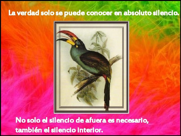 La verdad solo se puede conocer en absoluto silencio. No solo el silencio de