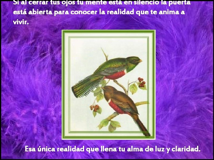 Si al cerrar tus ojos tu mente está en silencio la puerta está abierta
