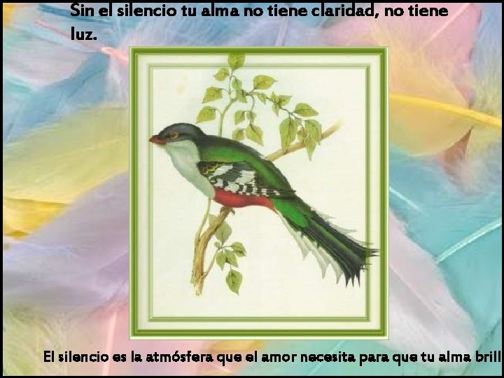 Sin el silencio tu alma no tiene claridad, no tiene luz. El silencio es