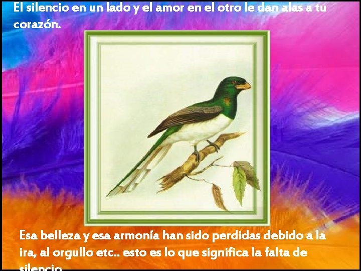 El silencio en un lado y el amor en el otro le dan alas