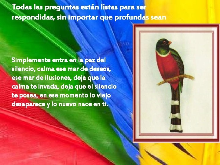 Todas las preguntas están listas para ser respondidas, sin importar que profundas sean Simplemente