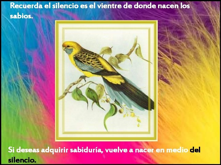 Recuerda el silencio es el vientre de donde nacen los sabios. Si deseas adquirir
