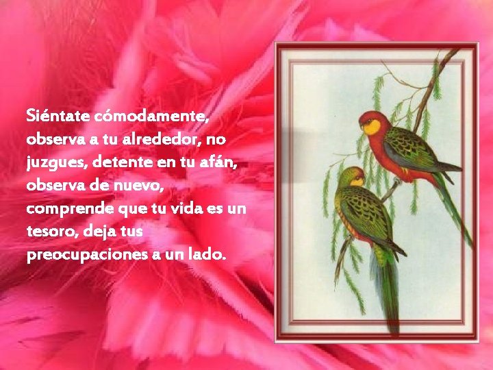 Siéntate cómodamente, observa a tu alrededor, no juzgues, detente en tu afán, observa de