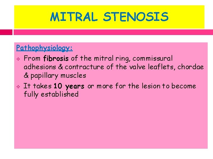 MITRAL STENOSIS Pathophysiology: v From fibrosis of the mitral ring, commissural adhesions & contracture