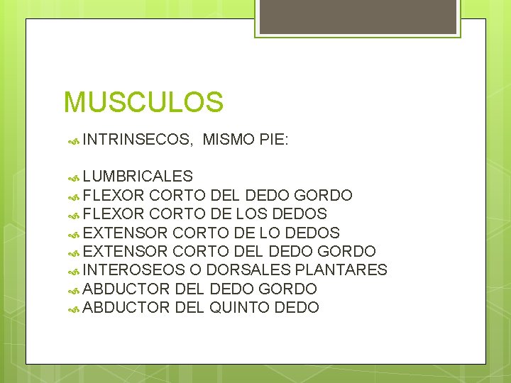 MUSCULOS INTRINSECOS, MISMO PIE: LUMBRICALES FLEXOR CORTO DEL DEDO GORDO FLEXOR CORTO DE LOS