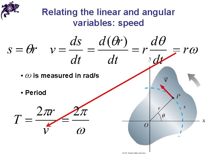 Relating the linear and angular variables: speed • ω is measured in rad/s •