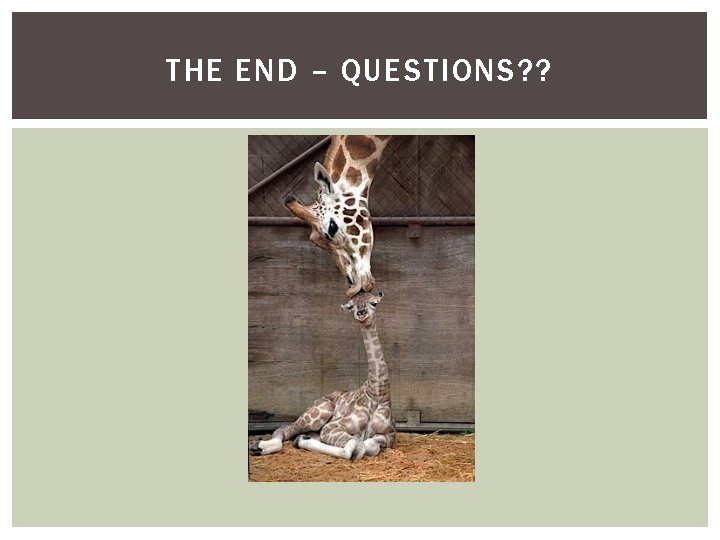 THE END – QUESTIONS? ? 
