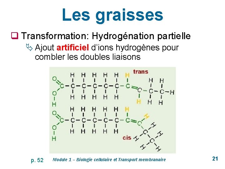 Les graisses q Transformation: Hydrogénation partielle Ä Ajout artificiel d’ions hydrogènes pour combler les