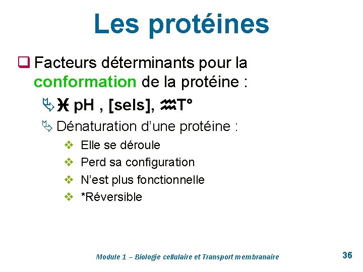 Les protéines q Facteurs déterminants pour la conformation de la protéine : Ä p.